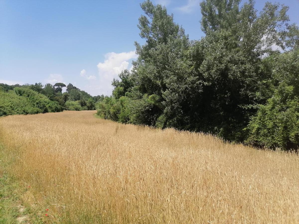 Ferienwohnung Az.Agricola Agriturismo La Locanda Di Lann Fucecchio Exterior foto