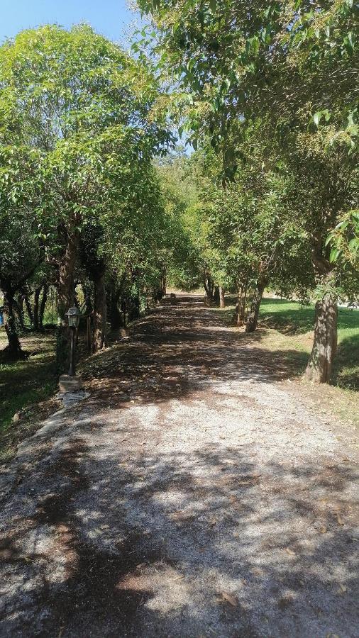 Ferienwohnung Az.Agricola Agriturismo La Locanda Di Lann Fucecchio Exterior foto