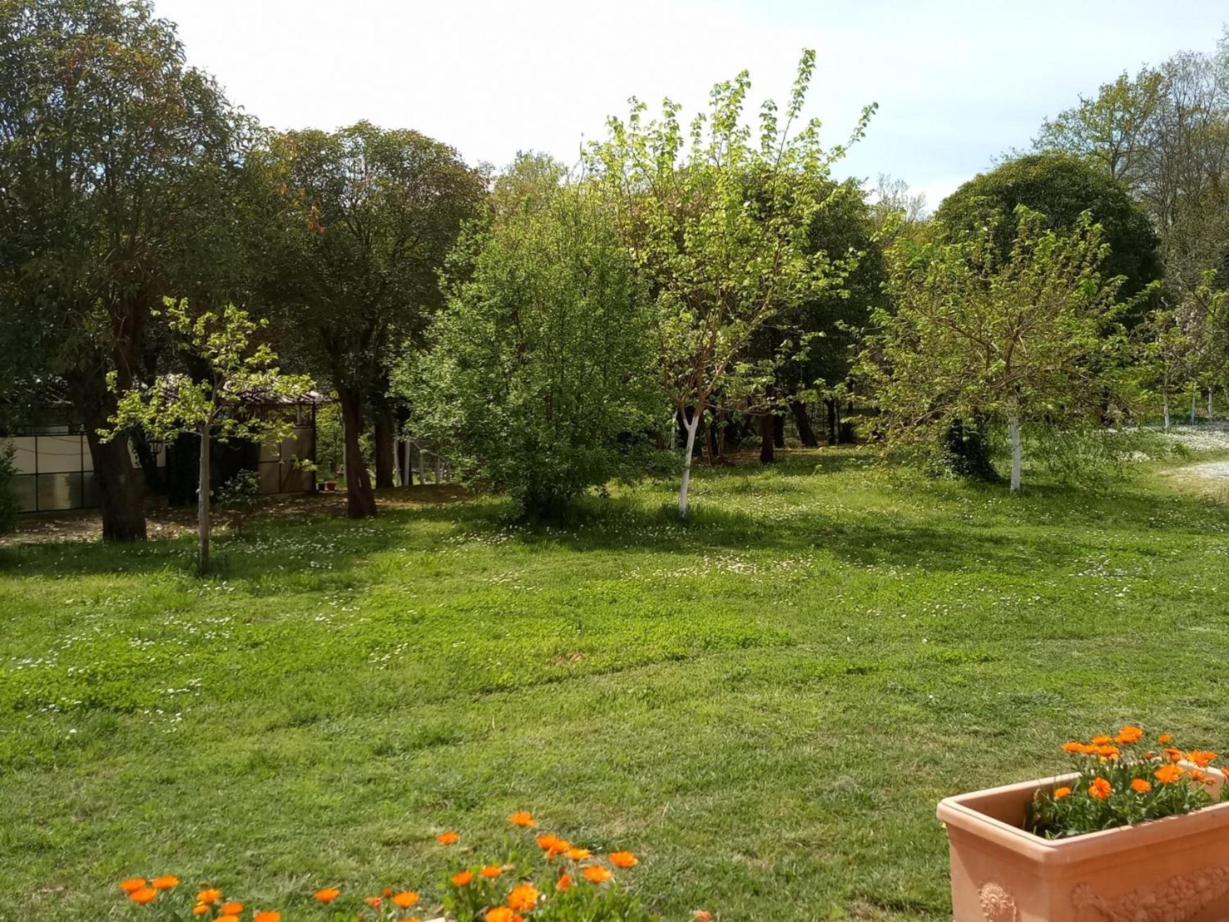 Ferienwohnung Az.Agricola Agriturismo La Locanda Di Lann Fucecchio Exterior foto