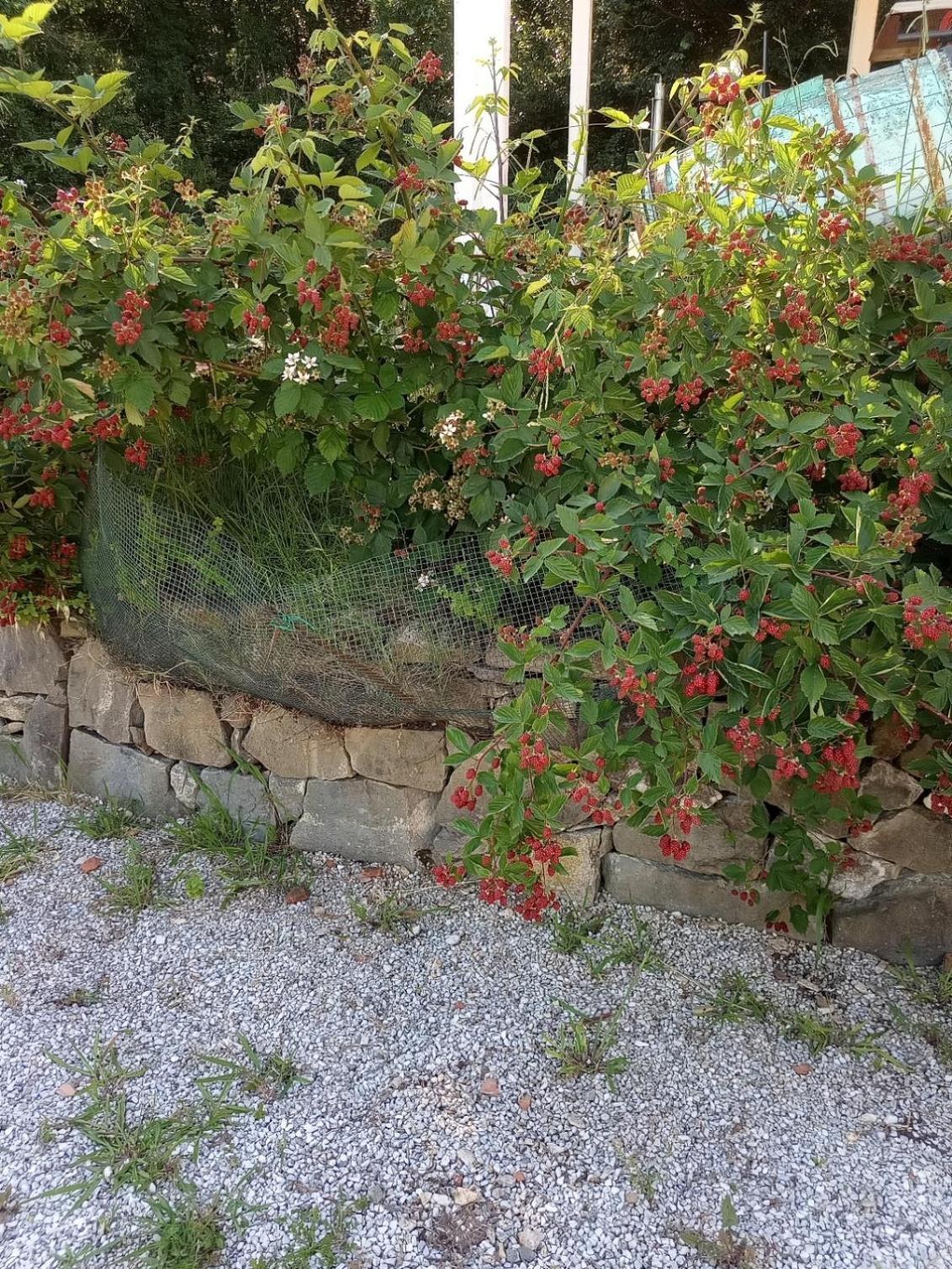 Ferienwohnung Az.Agricola Agriturismo La Locanda Di Lann Fucecchio Exterior foto